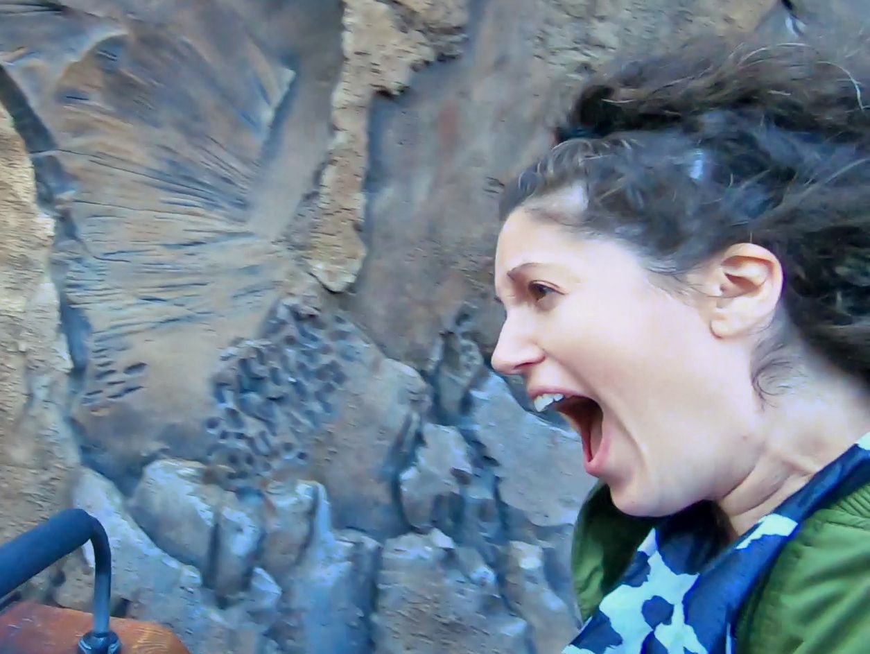 My face during the first "drop." It was not as bad as my face makes it appear. I swear.