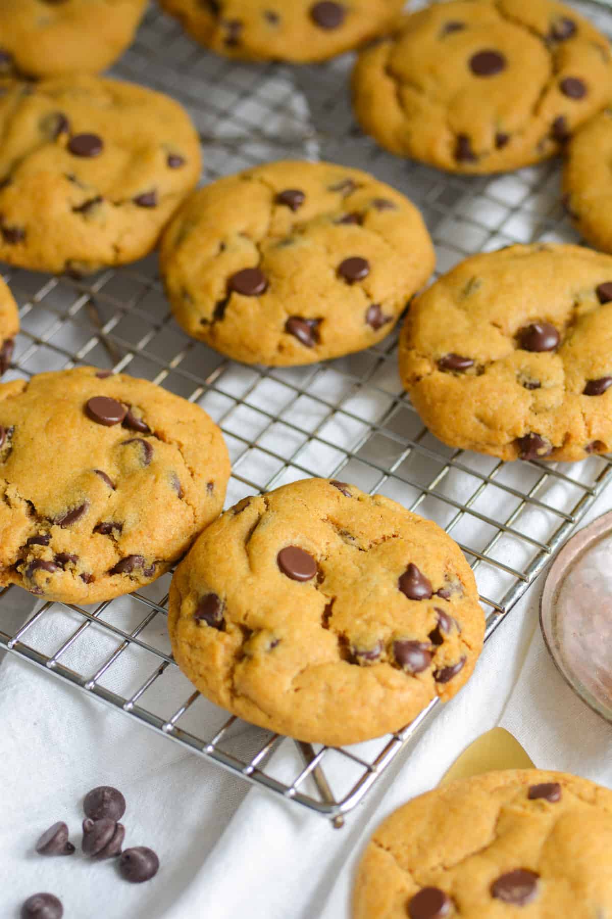 Vegan pumpkin chocolate chip cookies on a cooling rack.